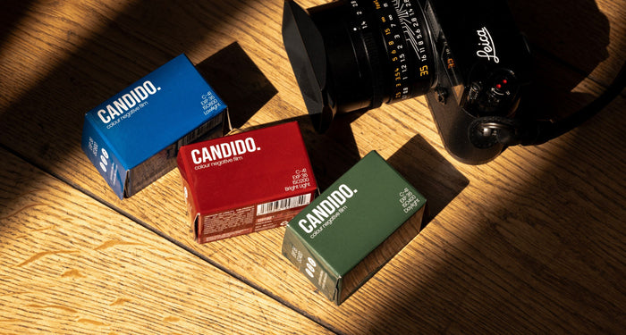 Candido Collective