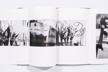 Flamingo - Robert Frank