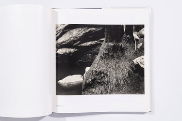 Weston's Westons: California and the West - Edward Weston