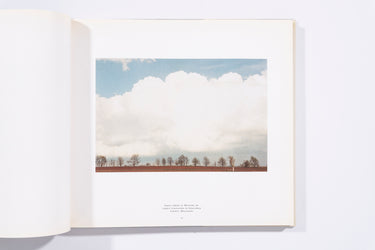 The Democratic Forest - William Eggleston