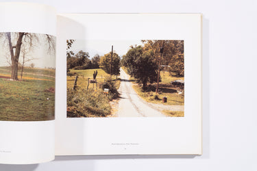 The Democratic Forest - William Eggleston