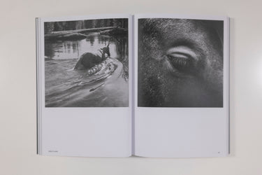 Hotshoe Magazine - An Emotional Landscape