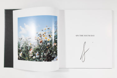 Alessandra Sanguinetti, On the Sixth Day