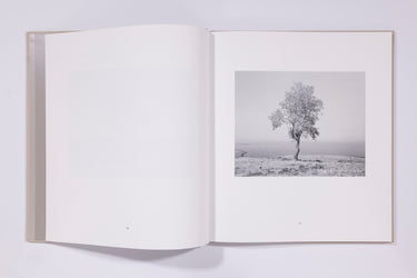 Mimi Plumb, The Reservoir