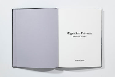 Migration Patterns, Brandon Ruffin