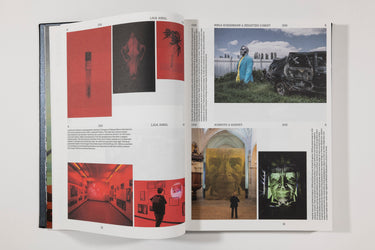 The Book of Images - A Dictionary of Visual Experiences