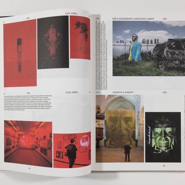 The Book of Images: A Dictionary of Visual Experiences