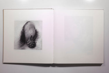 Jack Davison - Photographs