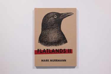 Mark Murrmann - Flatlands II