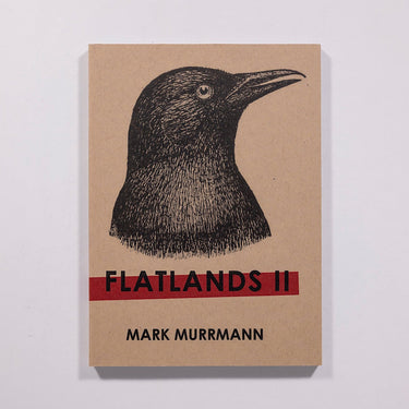 Mark Murrmann - Flatlands II
