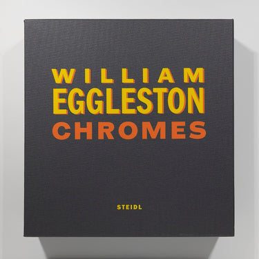 William Eggleston - Chromes