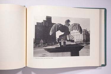 Lee Friedlander - The American Monument, 1976