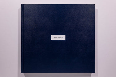 Alessandra Sanguinetti - Some Say Ice