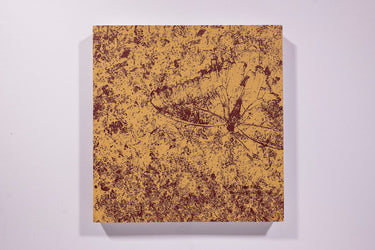 Vanessa Winship - And Time Folds