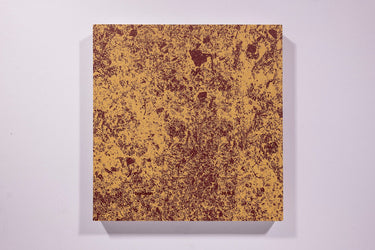 Vanessa Winship - And Time Folds