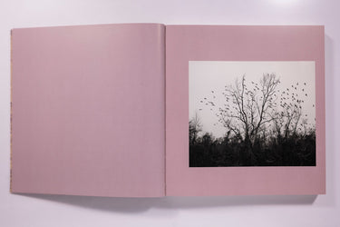 Vanessa Winship - And Time Folds