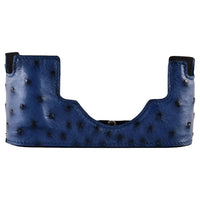 Blue Ostrich