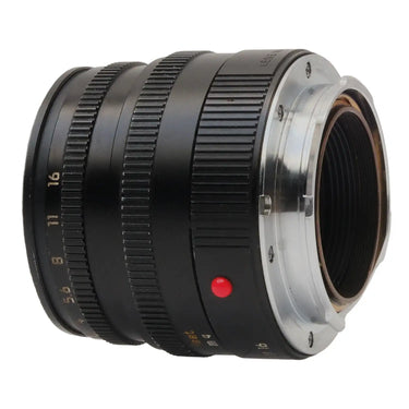 Leica 50mm f2 Summicron-M V5 3669178