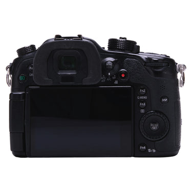 Panasonic Lumix GH4 rear view with LCD screen, viewfinder, and buttons