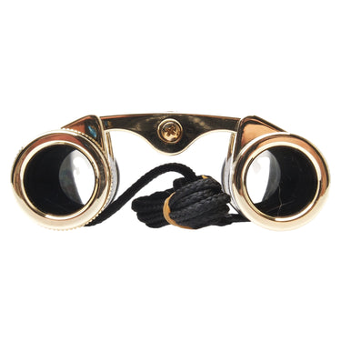 Leica Trinovid 8x20 Edition objective lenses front glass
