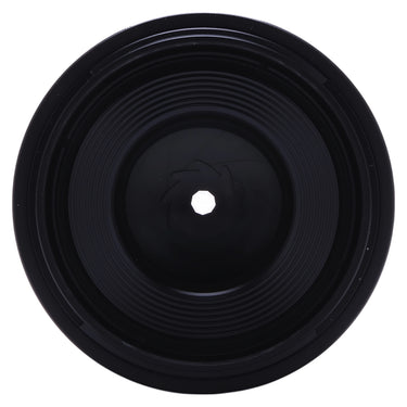 Canon RF 100mm f2.8 L Macro front element and aperture blades