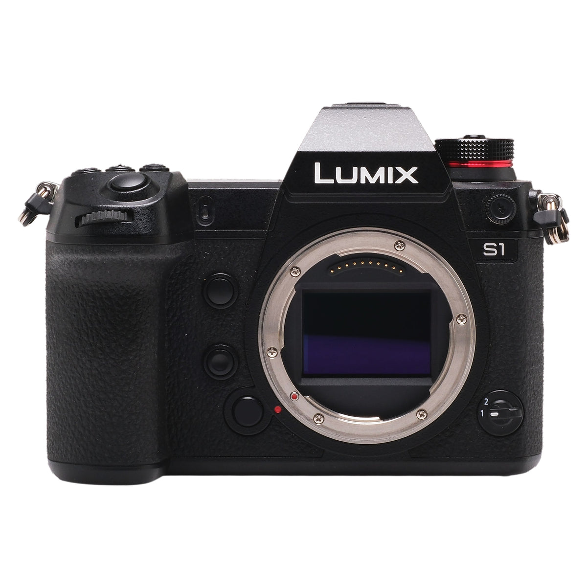 Panasonic Lumix S1 WJ9JE001342