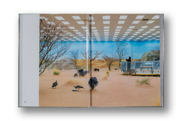 Farah Al Qasimi, Hello Future