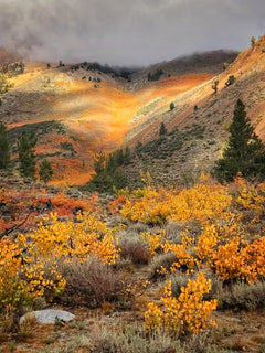 Camera West 2025 Hwy 395 Workshop Sept 28-Oct 03
