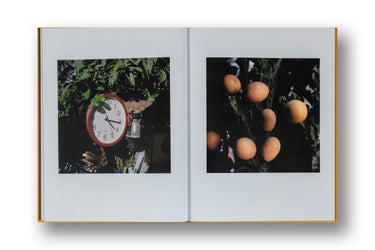 Jason Fulford - Picture Summer on Kodak Film