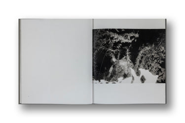 Kohei Yoshiyuku, The Park, Limited Edition