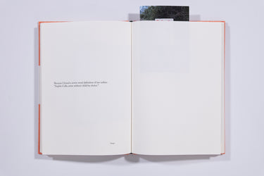 Because - Sophie Calle