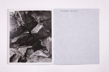 Awoiska Van Der Molen, The Living