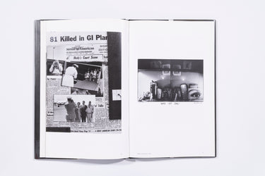 Flamingo - Robert Frank