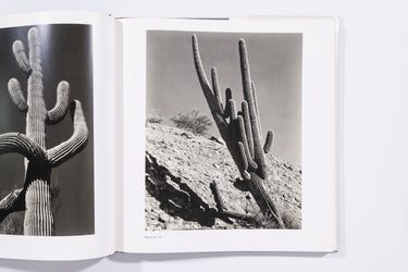 Weston's Westons: California and the West - Edward Weston