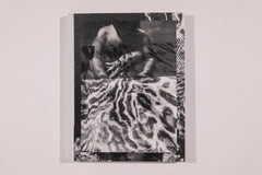 Keisha Scarville, lick of tongue, rub of finger, on soft wound