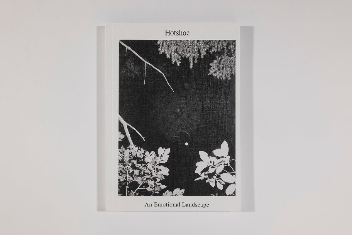 Hotshoe Magazine - An Emotional Landscape