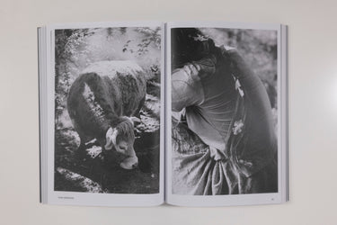 Hotshoe Magazine - An Emotional Landscape
