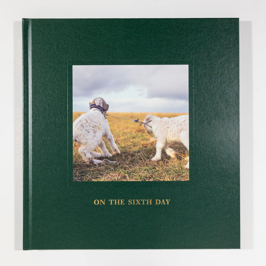 Alessandra Sanguinetti, On the Sixth Day