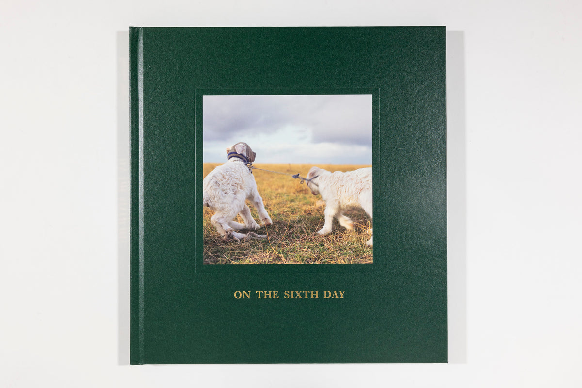 Alessandra Sanguinetti, On the Sixth Day