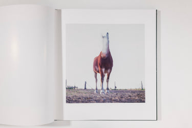 Alessandra Sanguinetti, On the Sixth Day