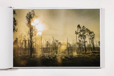 Todd Hido: The End Sends Advance Warning