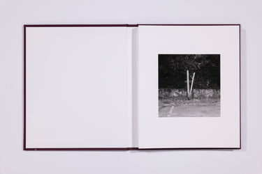 VISCIN - Yorgos Lanthimos