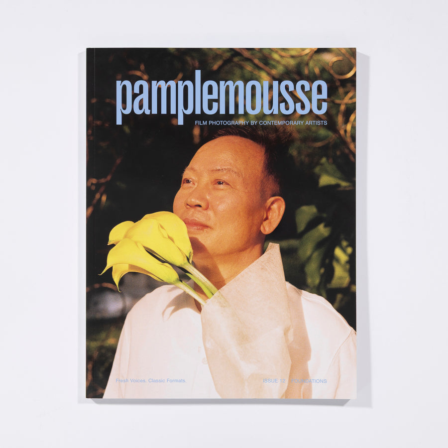 Pamplemousse Issue 12, Foundations