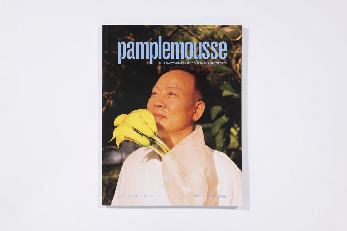 Pamplemousse Issue 12, Foundations