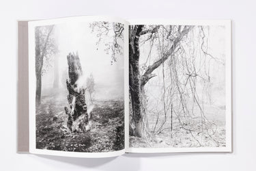 The Weight of Ash - Ian Bates