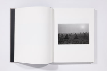 The Seraphim - Jesse Lenz