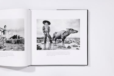 Revolution Revisited - Kim Komenich