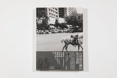Ruan Yi Zhong, Taipei Rumors (9)