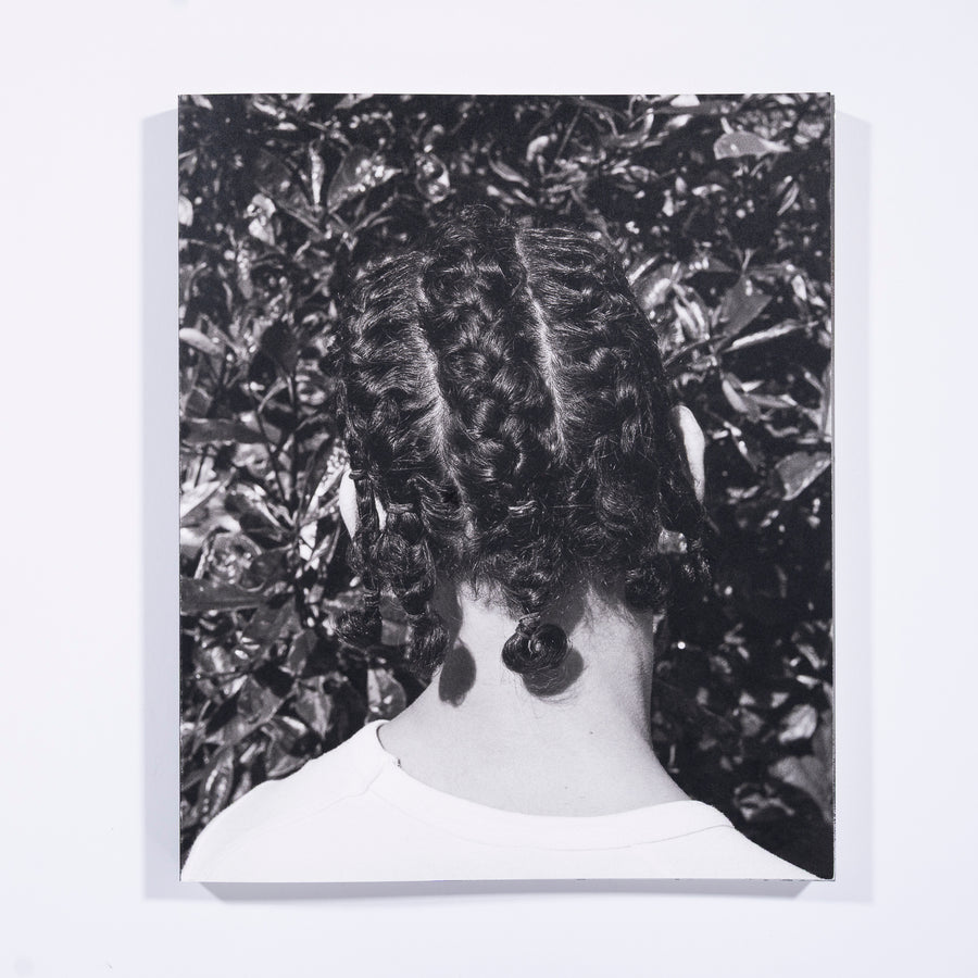 Mixedness is my Mythology, Farren van Wyk