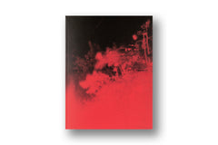 Richard Mosse, Broken Spectre
